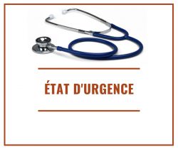 Etat d'urgence et catastrophe sanitaire